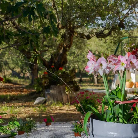 Prázdninový dům Nena *